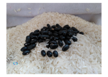 Origem dos Sabores que Encantam o Mundo