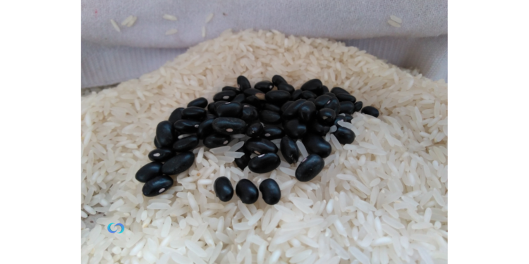 Origem dos Sabores que Encantam o Mundo