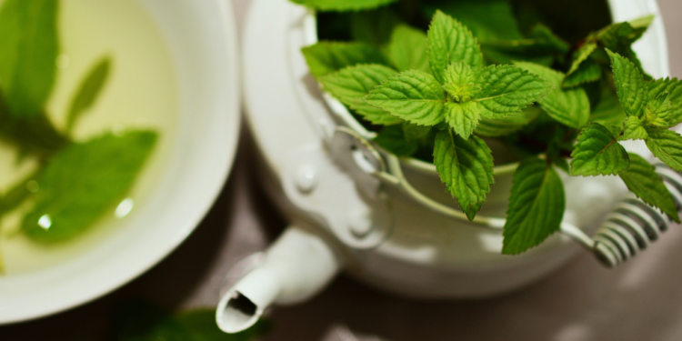 Um Guia para Preparar Remédios Naturais