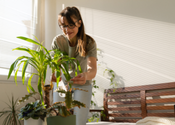 O ambiente e a saúde: moldando o bem-estar